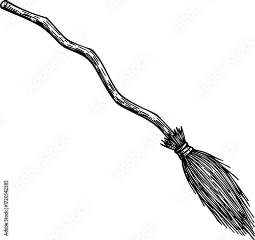 Witch Broom etching illustration