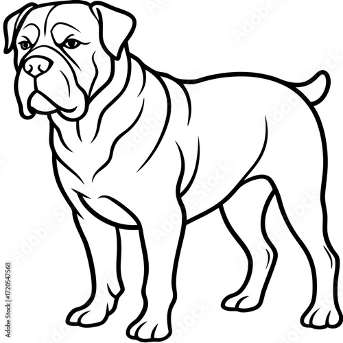 Dogue de Bordeaux Line Art Vector Illustration on White Background
