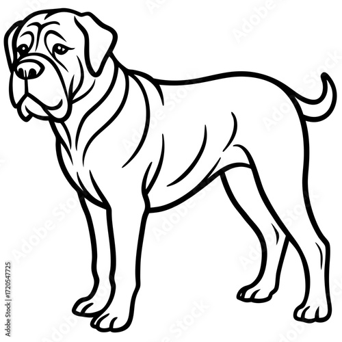 Dogue de Bordeaux Line Art Vector Illustration on White Background