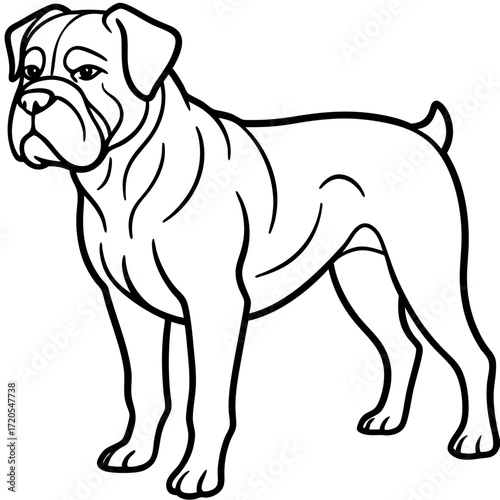 Dogue de Bordeaux Line Art Vector Illustration on White Background