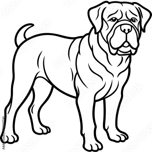 Dogue de Bordeaux Line Art Vector Illustration on White Background