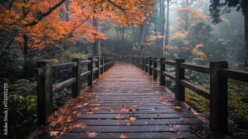 Wallpaper Mural Autumnal Walkway: Serene Path Through Misty Forest Torontodigital.ca
