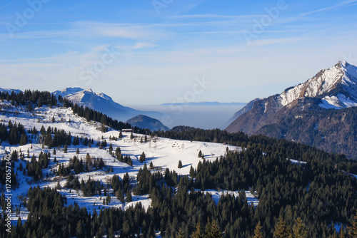 Canvas Print Scenic view of snow-covered mountains with evergreen trees in the foreground