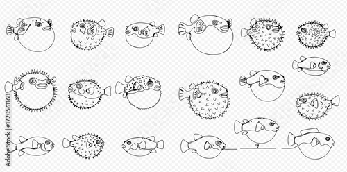 A collection of black and white cartoon pufferfish illustrations in various inflated and deflated poses, showcasing their unique aquatic appearance.