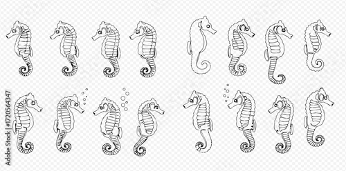 A collection of hand-drawn seahorse illustrations in various poses, depicting marine life with intricate details and a whimsical style.