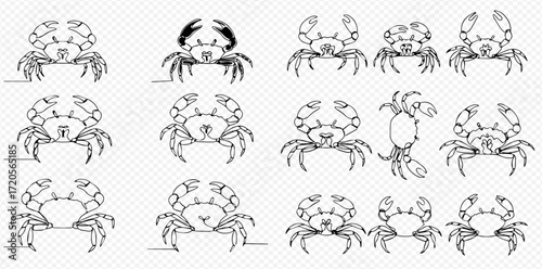 A collection of black and white line art illustrations depicting various crabs in different poses, suitable for marine-themed designs.