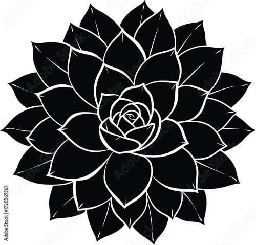Elegant Black and White Succulent Rosette Petal Vector Graphic