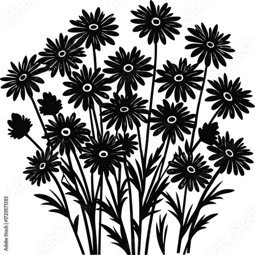 Hand Drawn Black and White Daisy Flowers Botanical Vector Art
