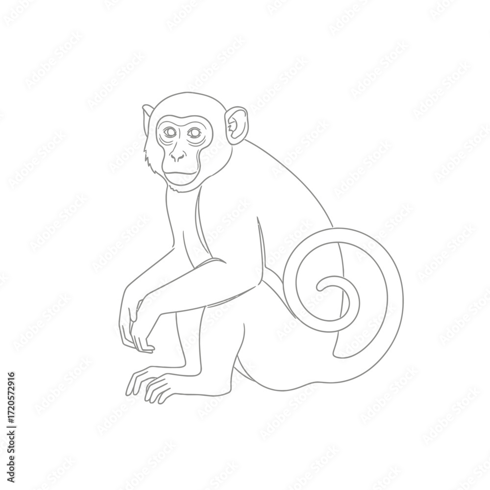Fototapeta premium Monkey line art illustration