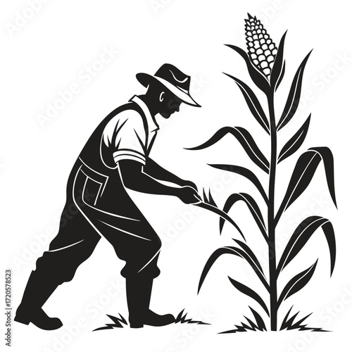 Farmer plucking corn silhouette