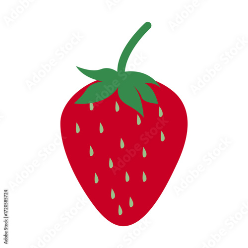 stobery design icon vector