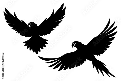 Parrot flying silhouette vector  isolated on white background