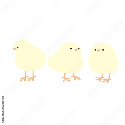 かわいいひよこ3羽のベクターイラスト