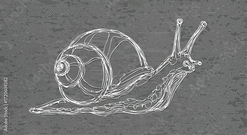 Detailed Line Art Illustration of a Glass Snail on a Textured Background