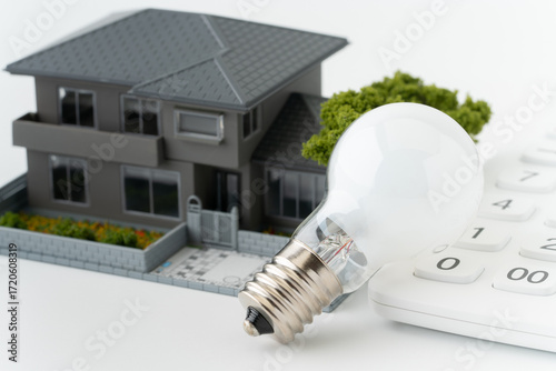 ミニチュアの一戸建ての家と電球と電卓のクローズアップ