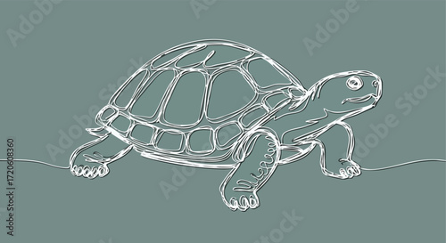 Stylized Outline of a Turtle on a Serene Background