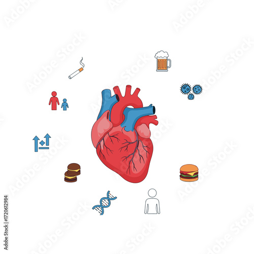 Heart health factors and risks surrounding a human heart illustration.
