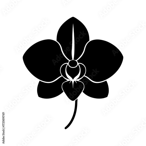Elegant black silhouette of a phalaenopsis orchid flower