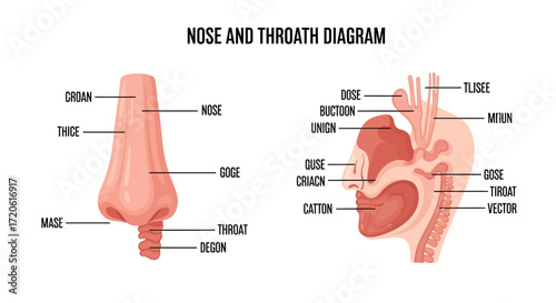 Alt text: "Illustrated diagram labeled 'Nose and Throat Diagram.' Left side shows a detailed nose labeled with nonsensical terms. Right side depicts a cross-section of the head, with similar incorrect