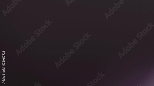 Quick Flash Light Flare Transition. Instantaneous light burst for a jump scare or action.