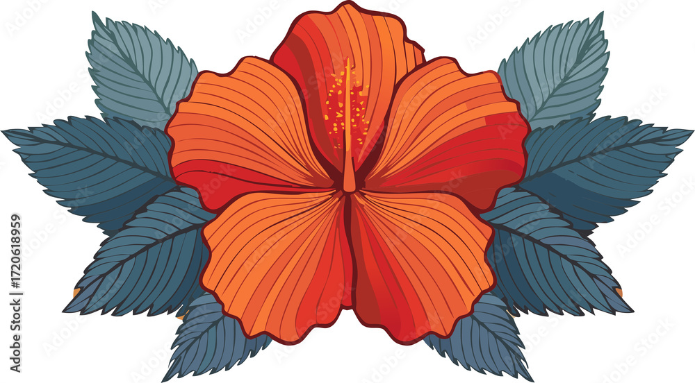 Obraz premium Hibiscus isolated on white