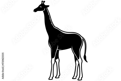 Giraffe standing silhouette vector isolated on white background