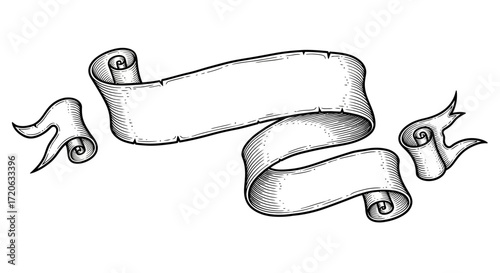 Elegant vector illustration of a vintage banner scroll with detailed hatching and curves perfect