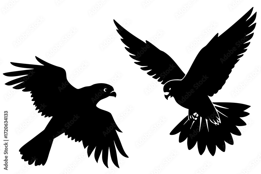 Fototapeta premium Falcon hunting silhouette vector isolated on white background