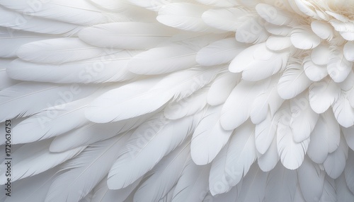 Close-up of Angelic Wings: A detailed shot captures the soft texture and delicate arrangement of pristine white feathers, evoking a sense of purity, grace, and ethereal beauty. 