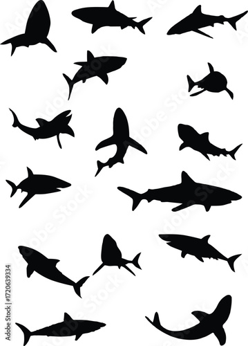 shark silhouette, sharks, underwater sea life, ocean predator, black and white illustration, vector graphic, minimalist design
