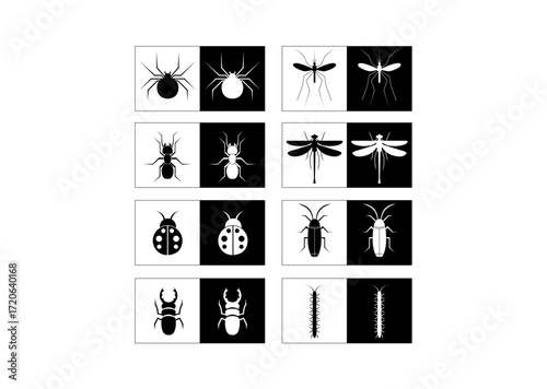 A black and white collection of insect silhouettes displayed in square panels, featuring various species in a minimalist graphic style.