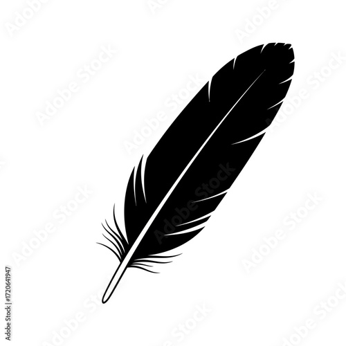 Black feather silhouette isolated on white background