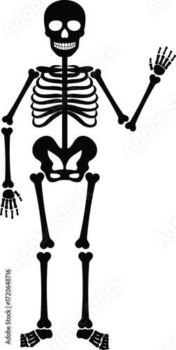 skeleton, black and white, simple geometric design, flat cartoon style, vector illustration
