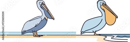 Two Pelicans on the Beach Vector Illustration