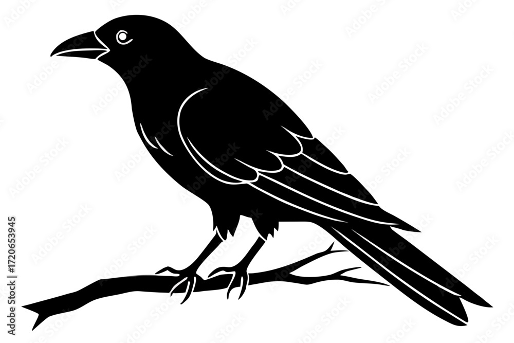 Fototapeta premium Crow on branch silhouette illustration isolated on white background