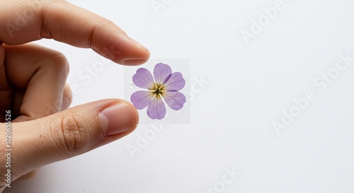 Fiore viola delicato pressato luce soffusa mostra dettagli sorprendenti. AI Generated