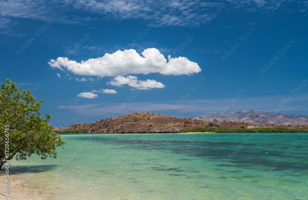 Fototapeta premium Seascape with mountains and clouds in the background with vegetation on the beach and crystal clear water of the Sea of ​​Cortez in Bahia Concepcion Baja California Sur Mexico. EL REQUESON Beach