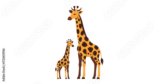 Two giraffes one adult and one baby standing on a white background illustration.