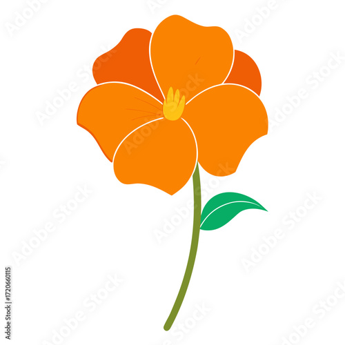  nemesia orange prince ( Nemesia strumosa) flower vector on white