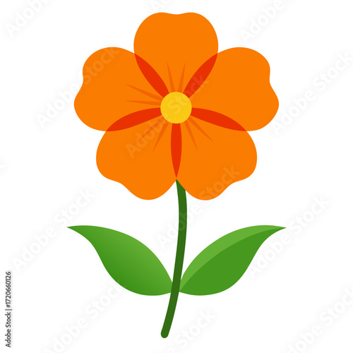nemesia orange prince ( Orange Prince)  flower vector on white