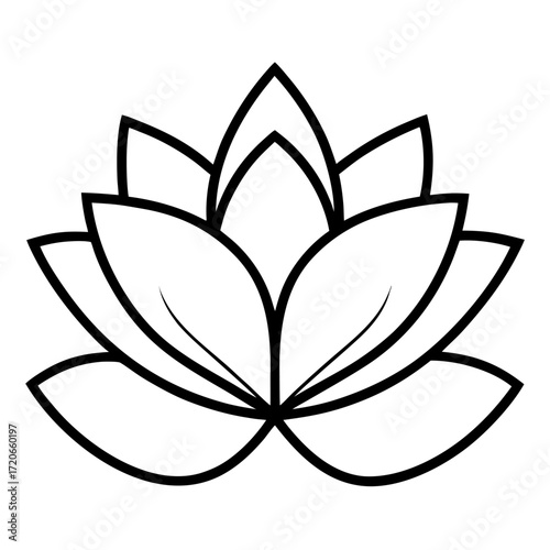 nymphaea alba line art flower vector isolated on white