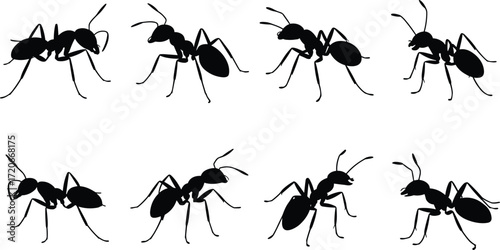 Black ant silhouette collection, insect vector design, pest control illustration, wildlife insect drawing, ant colony graphic, cad drawing flat vector illustration