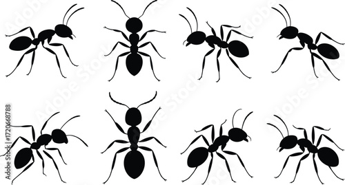 Ant silhouette collection, insect illustration, black ant design, wildlife vector artwork, pest control graphic, cad drawing flat vector illustration