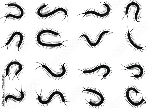 Centipede silhouette collection, insect pest vector set, crawling centipede design, black bug illustration, parasite awareness graphic, cad drawing flat vector illustration