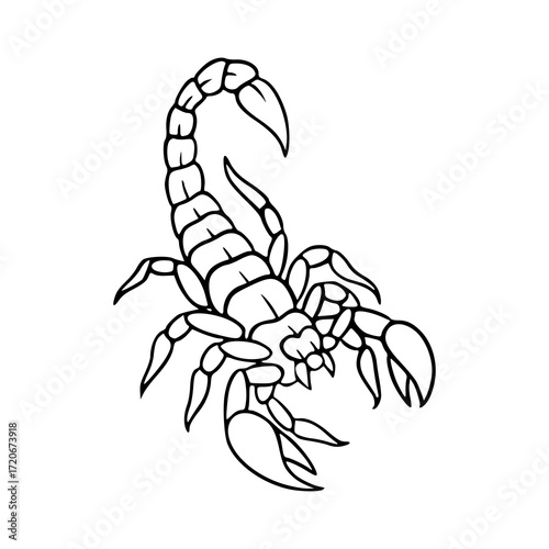 aggressive scorpion outline drawing