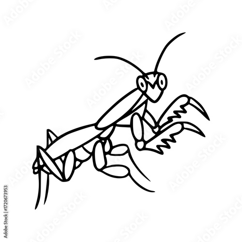minimalist praying mantis drawing
