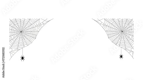 Spider and Web Duo: A captivating pair of meticulously crafted spider webs, each anchored within a corner and accompanied by a single spider. A symbol of the intricacies of nature.