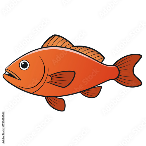 fish on a white background