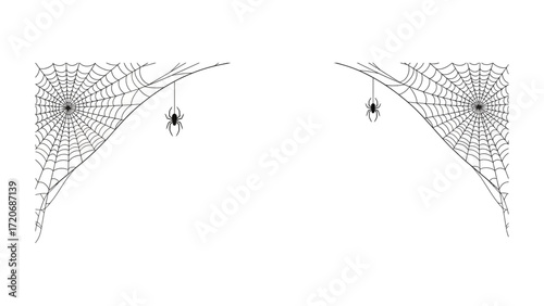 Halloween Spider Web: A monochrome portrayal of spider webs, a staple of the Halloween season, with spiders and their webs against the eerie atmosphere.