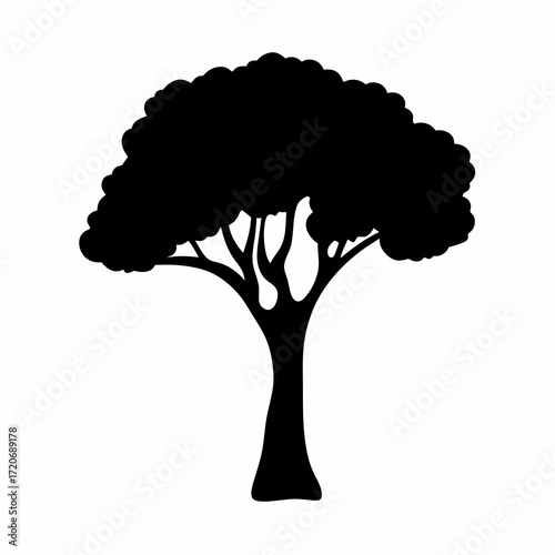 Elegant silhouette of a single tree with a lush, rounded canopy